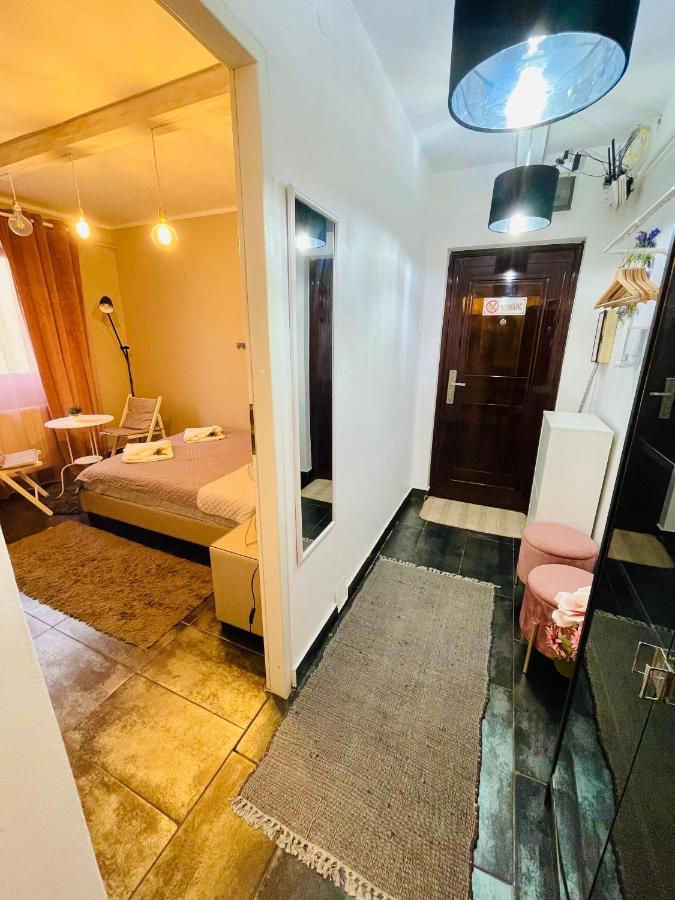 Private Place To Stay Self Check In-Nonstop- Netflix-Wifi Решица Экстерьер фото