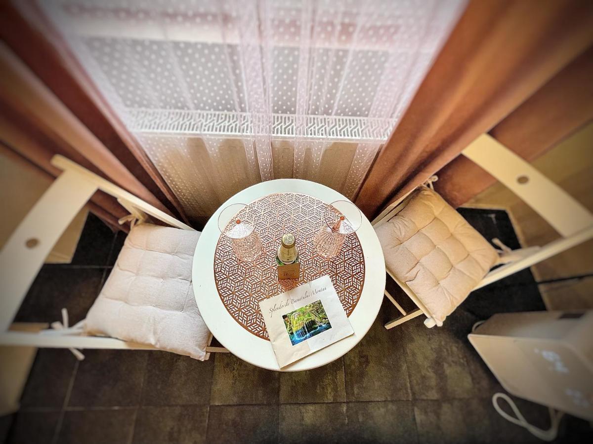 Private Place To Stay Self Check In-Nonstop- Netflix-Wifi Решица Экстерьер фото
